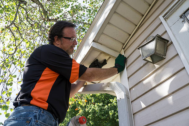 Best Same-Day Junk Removal Services  in Centreville, MI